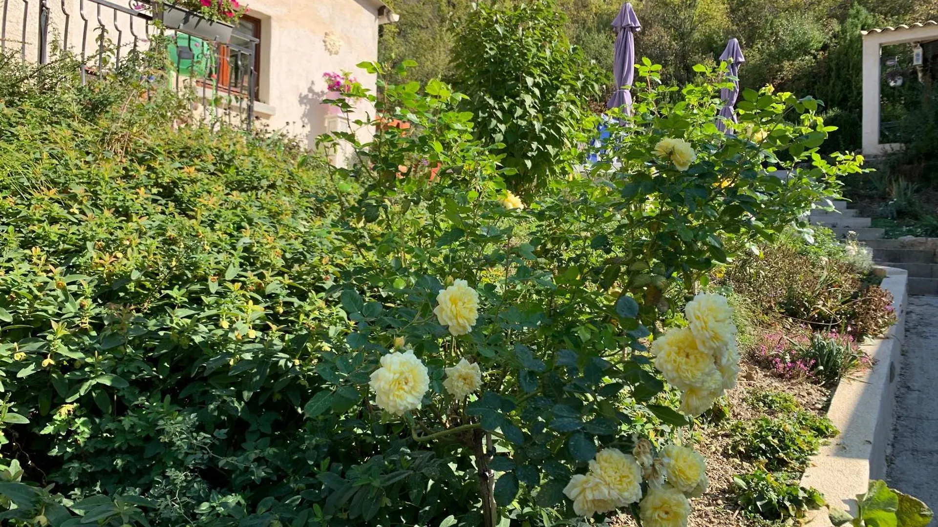 Maison Castellane Chambre D'Hotes B&B
